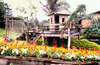 Belle Villa Resort 